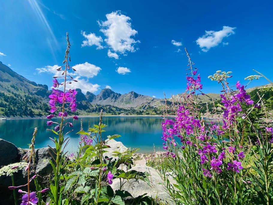 Studio De Charme Avec Vue Sur Le Val D'Allos, Parking Et Wifi Gratuit Eksteriør billede